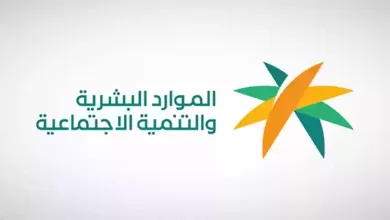 الاستعلام عن نطاق المؤسسة